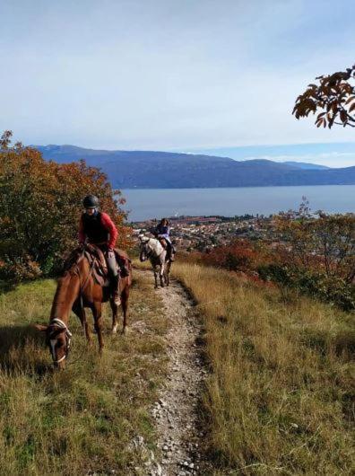 Farm stay Scuderia Castello Gaino