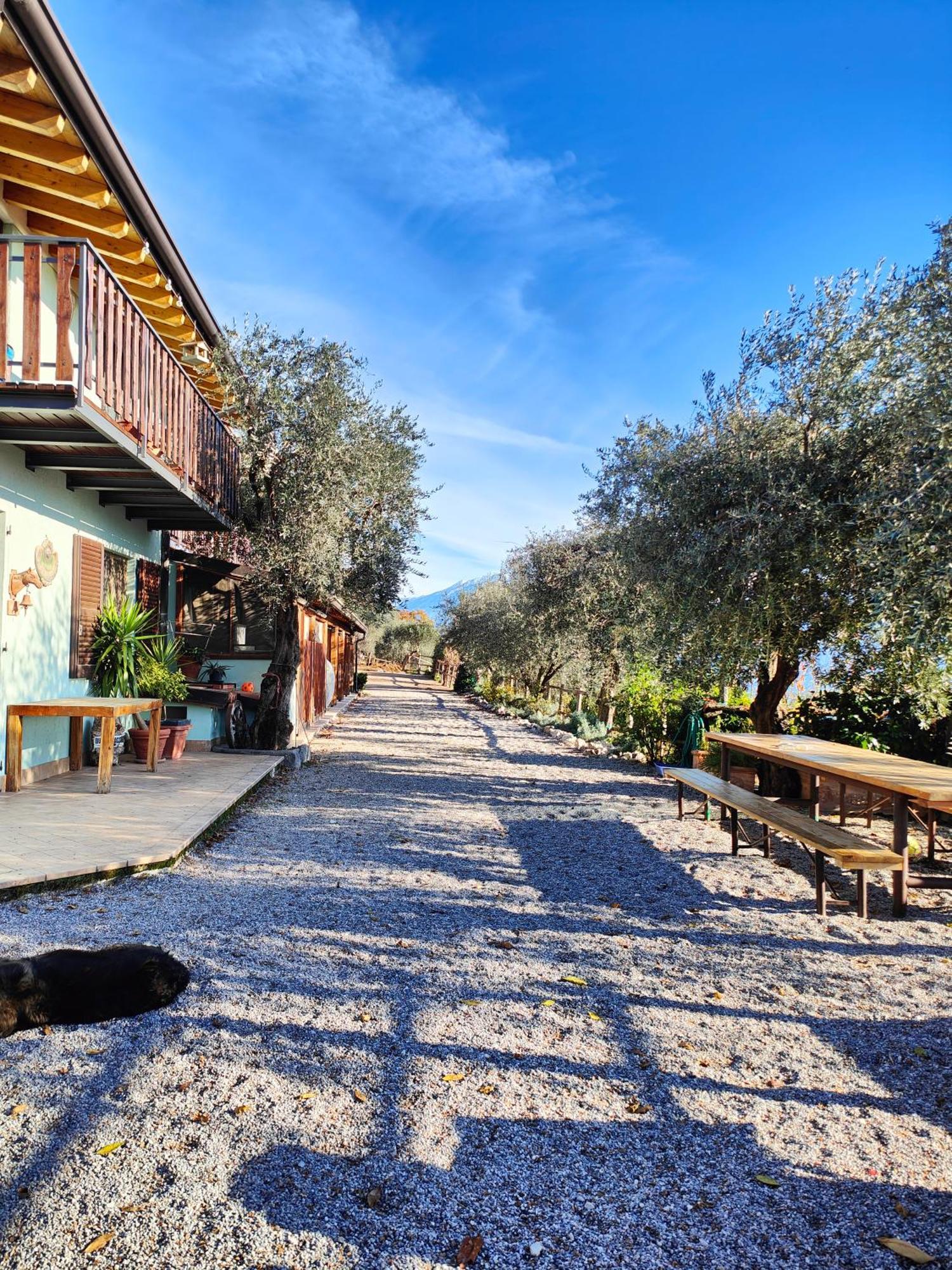 Farm stay Scuderia Castello